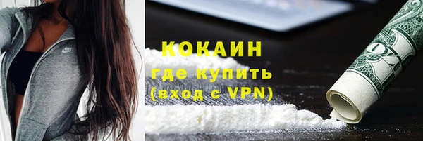 эйфоретик Арсеньев
