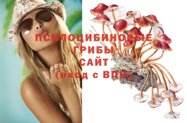 метамфетамин Аркадак