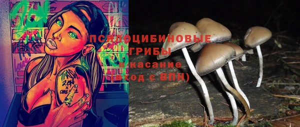 эйфоретик Арсеньев