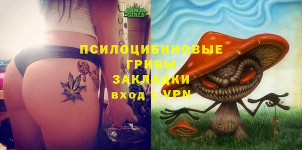 эйфоретик Арсеньев